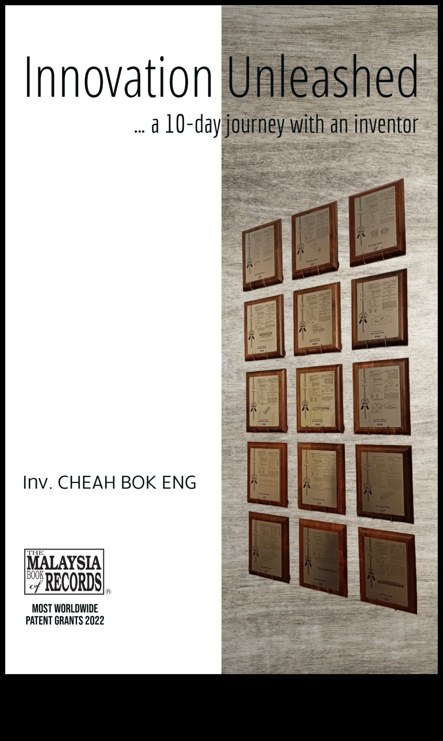 Inovație dezlănțuită: navigarea la frontiera creșterii afacerilor