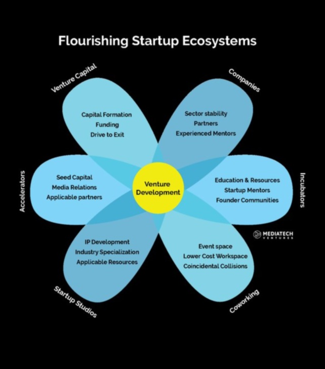 The Startup Pulse: bate inima antreprenoriatului