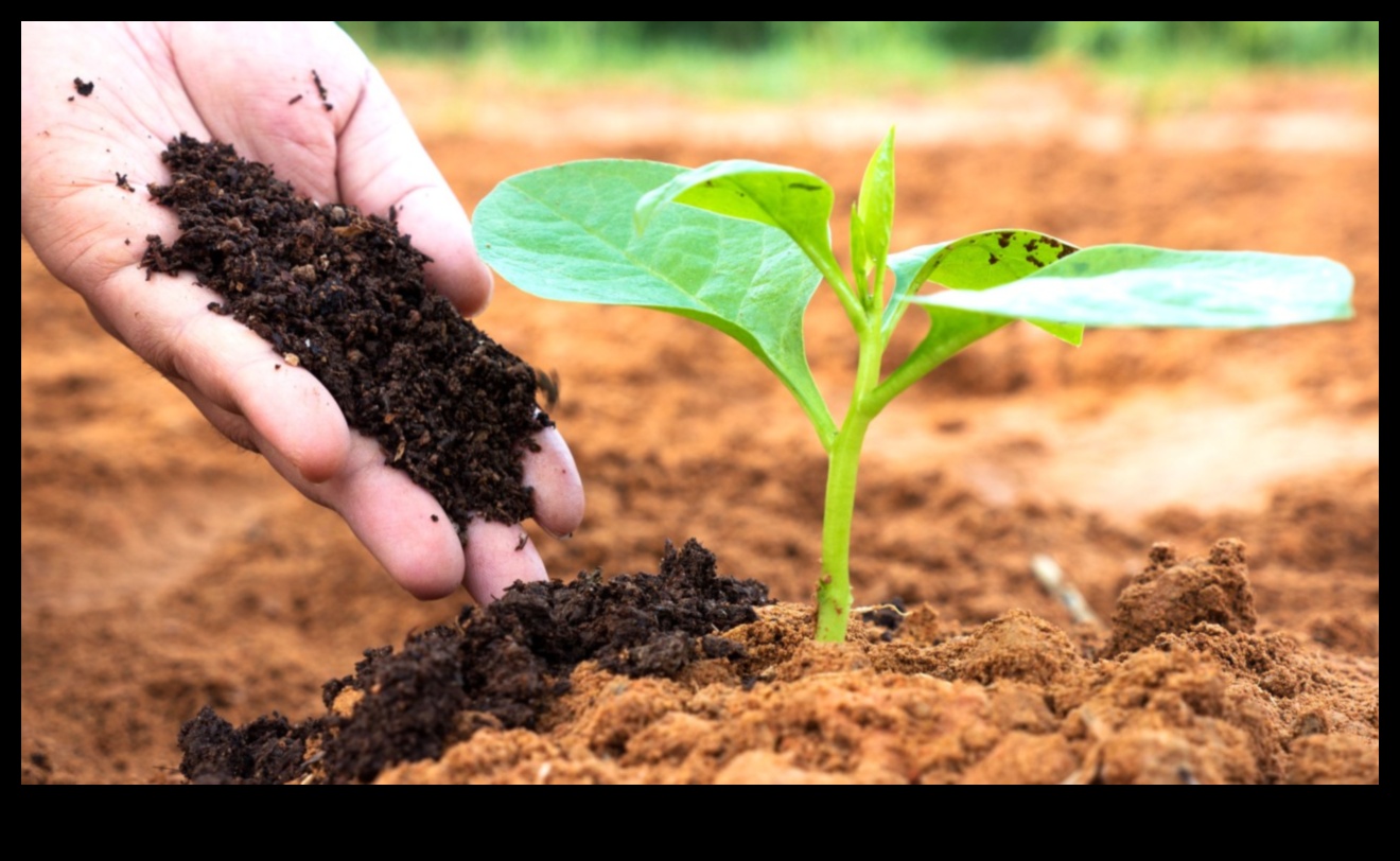 Cum influențează diferitele tipuri de sol vegetația peisajelor?