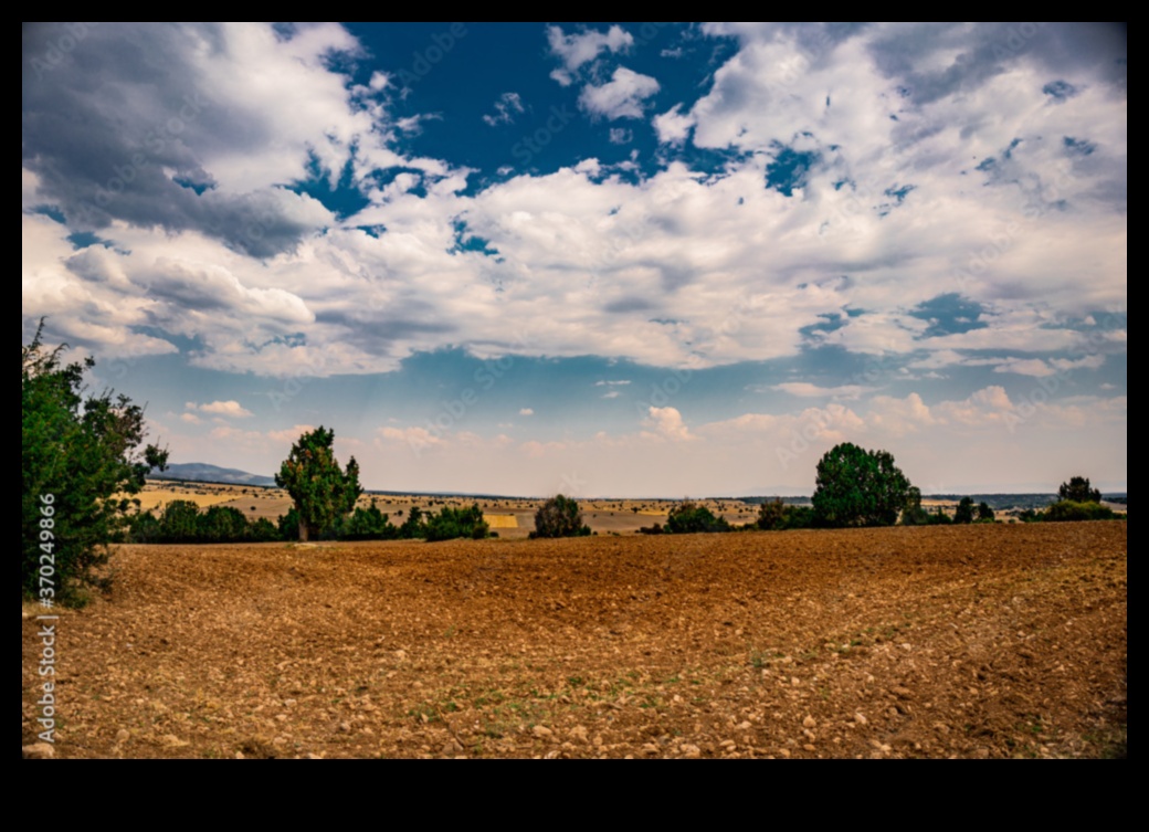 Countryside Euphoria III: Scene rurale liniștite din întreaga lume a continuat