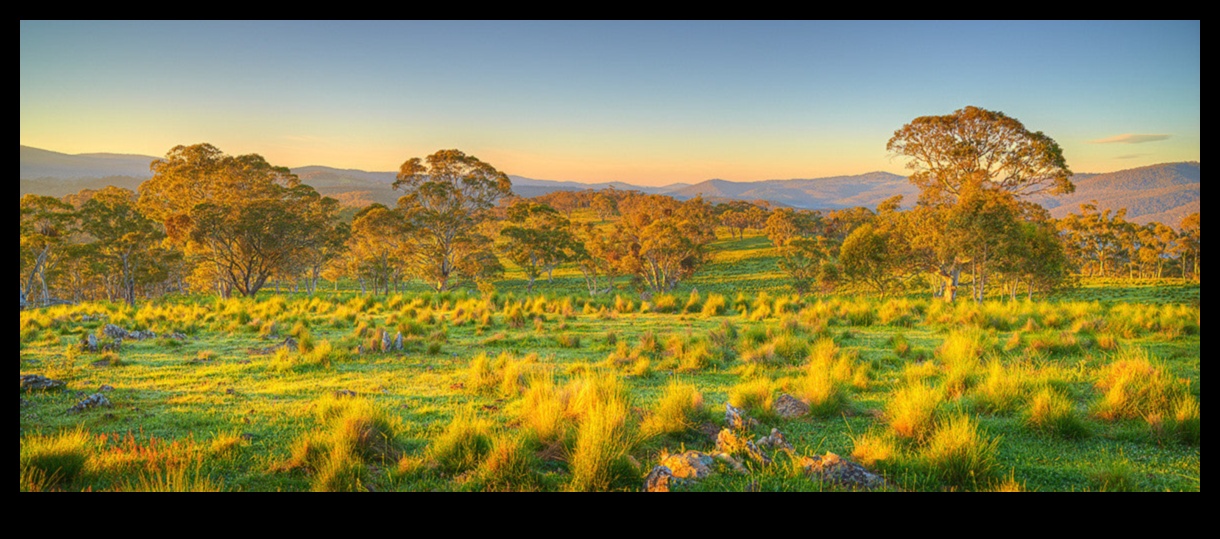 Countryside Euphoria III: Scene rurale liniștite din întreaga lume a continuat