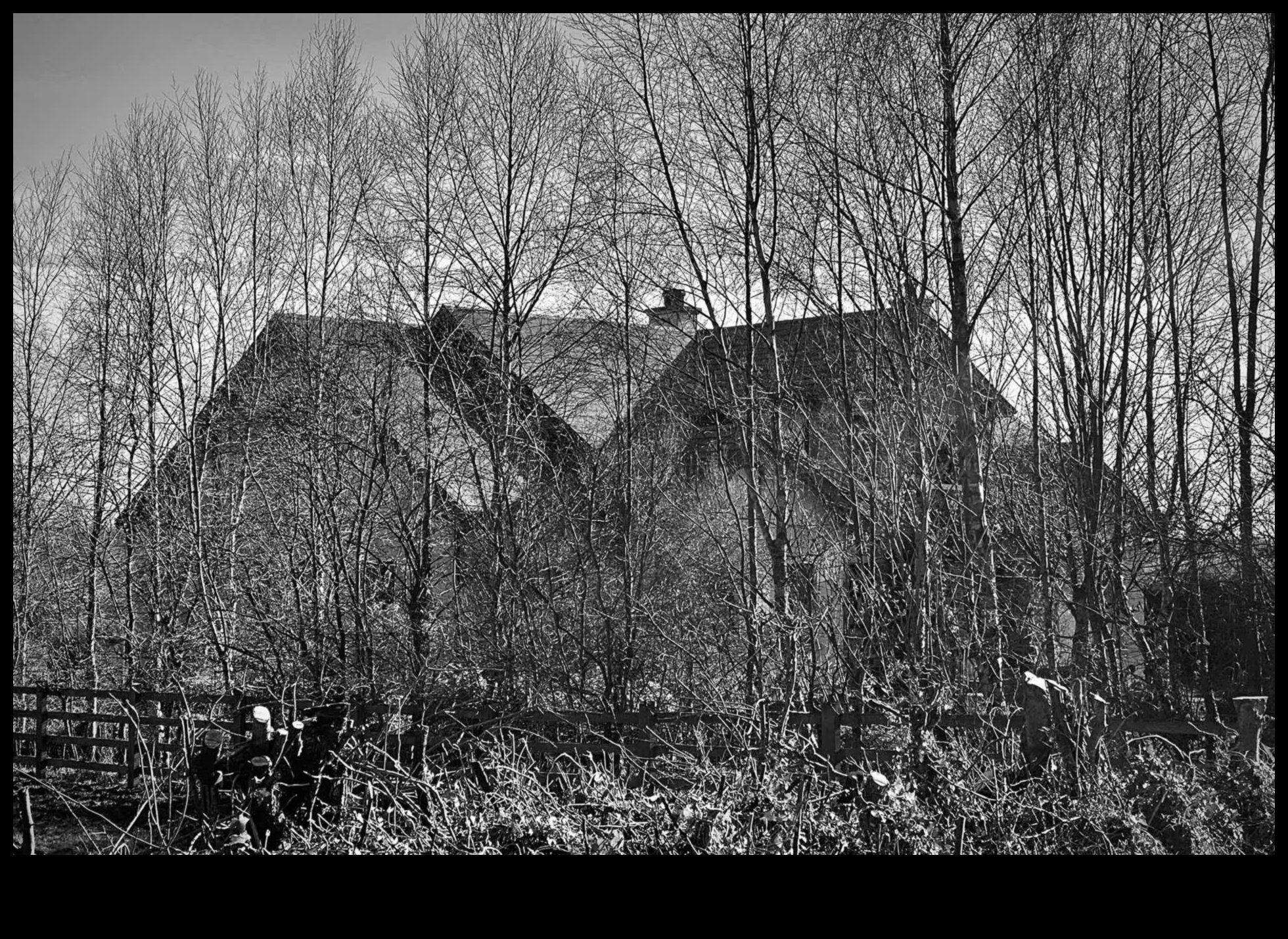 Realism în alb și negru: puterea atemporală a monocromului