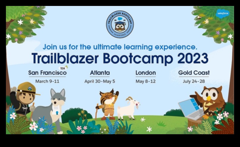 Progres de pionierat: strategii de dezvoltare a afacerilor pioniere