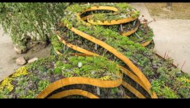 Parcuri urbane: plămâni verzi în mijlocul agitației urbane