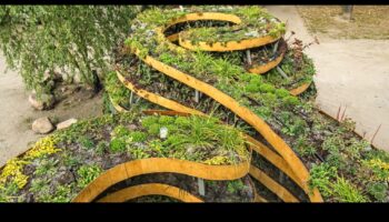 Parcuri urbane: plămâni verzi în mijlocul agitației urbane