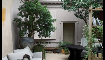 Virtual Eden: Design peisagistic în lumi virtuale în evoluție