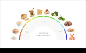 Maximizarea nutriției: avantajul dietei bogate în proteine