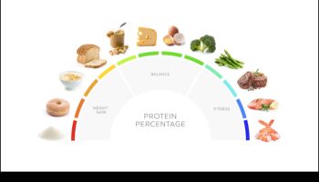 Maximizarea nutriției: avantajul dietei bogate în proteine