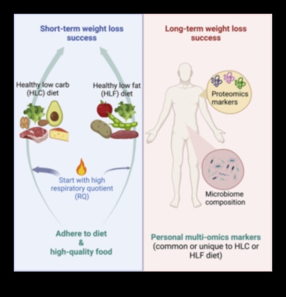 Dietele pe termen scurt și exercițiile fizice Funcționează 1 Dietele pe termen scurt și importanța activității fizice