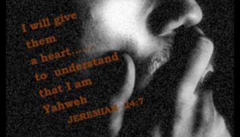 Liquid Serenity III: Râuri și lacuri în contemplație calmă extins