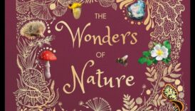 Vederi Majestuoase: O mare vitrină a peisajelor frumoase ale Pământului