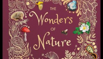 Vederi Majestuoase: O mare vitrină a peisajelor frumoase ale Pământului