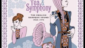 Simfonii baroc: amestecul armonios de culori în capodopere